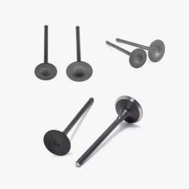 INlet & Exhaust Valves
